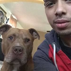 Meet your Posher, Evanny